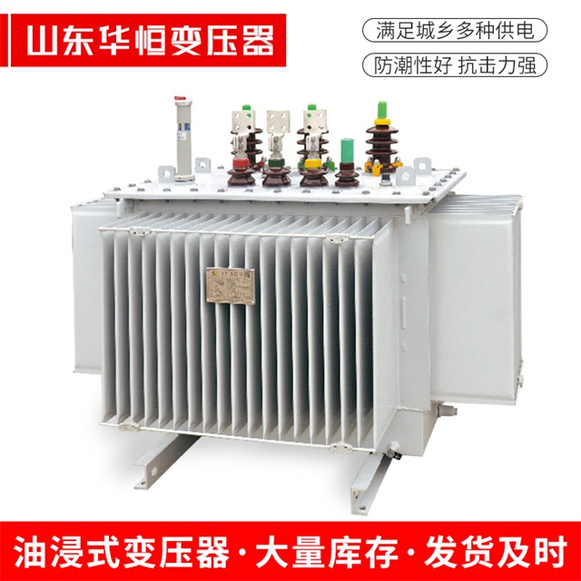 S13-10000/35旬邑旬邑旬邑电力变压器